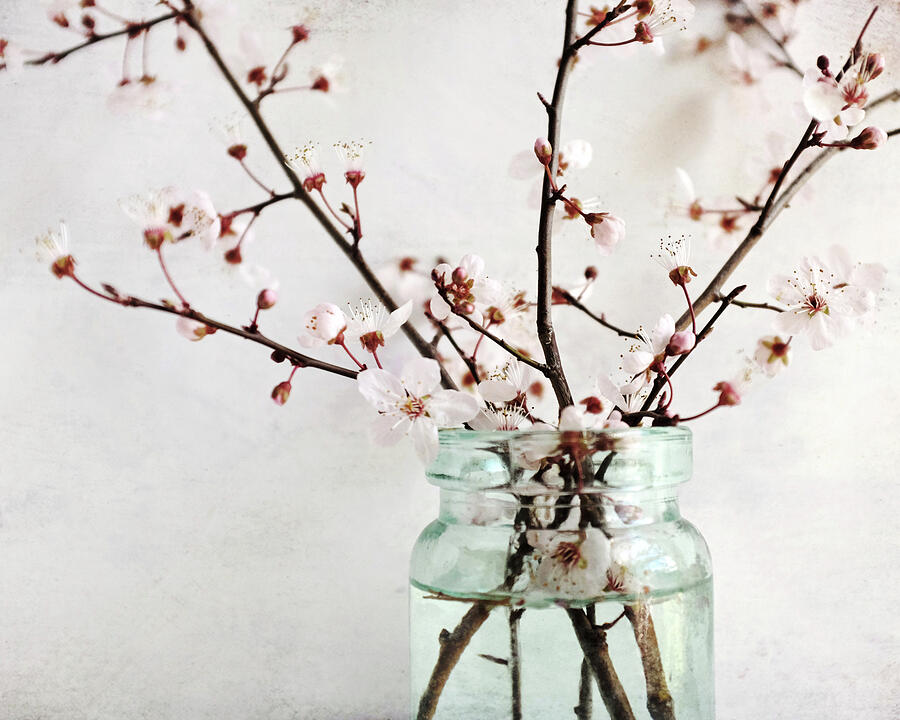 Pink Plum and Jar Photograph by Lupen Grainne
