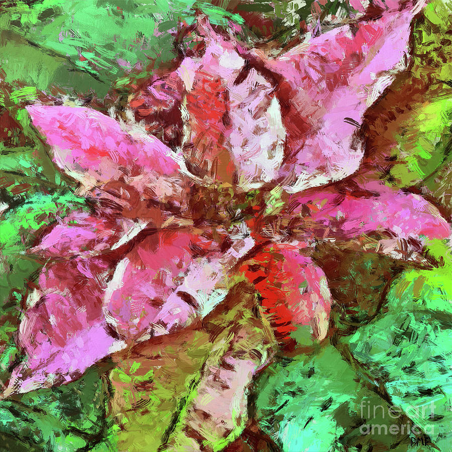 Christmas Painting - Pink Poinsettia by Dragica Micki Fortuna