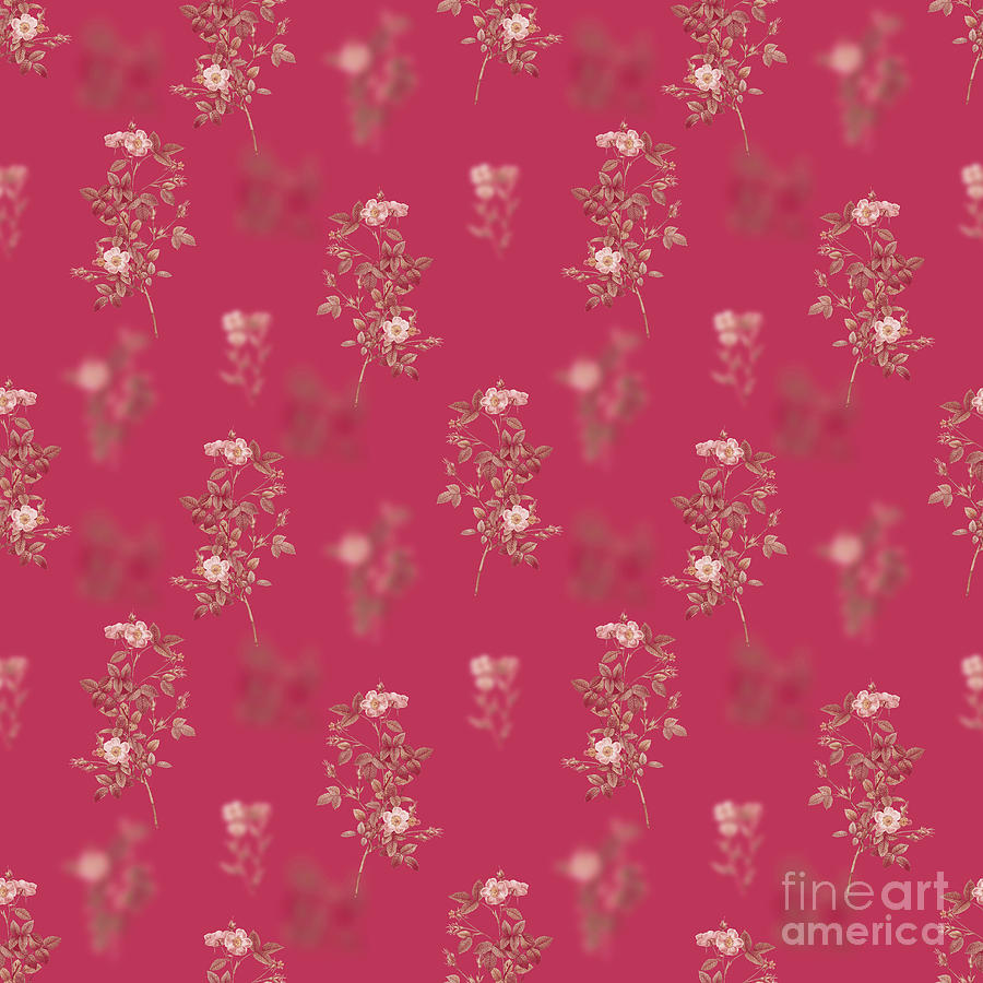 Vintage Mixed Media - Pink Pompon Rose Botanical Seamless Pattern in Viva Magenta n.0898 by Holy Rock Design