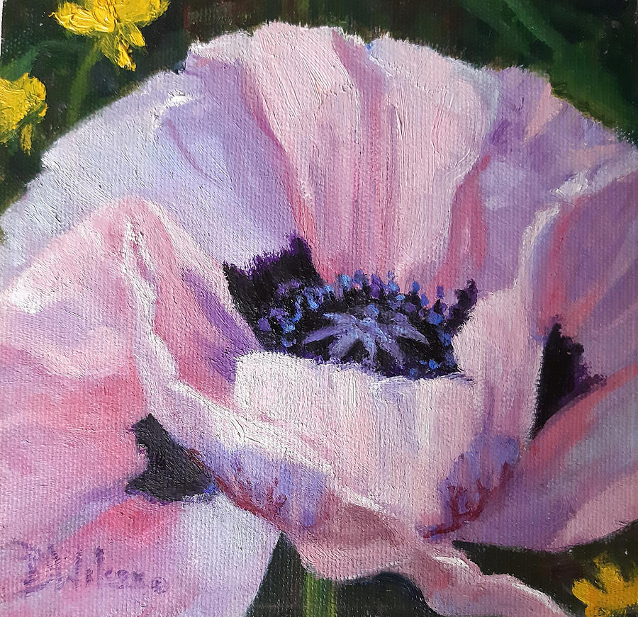 Pink Poppy Cameo Painting by Deborah Wilcox - Fine Art America