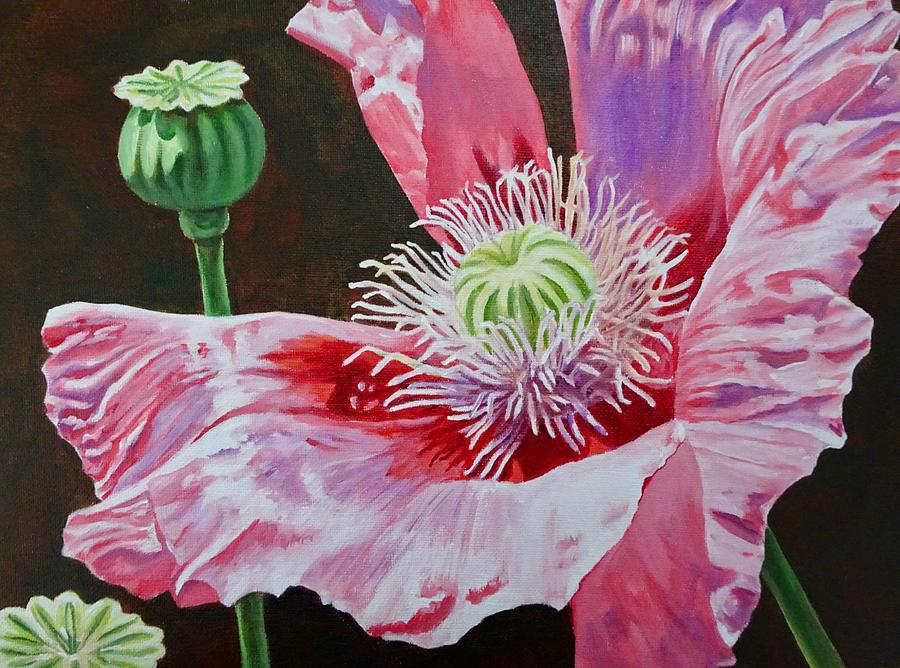 Poppy Painting - Pink Poppy by Lillian Bell