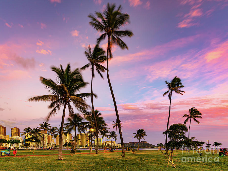 hawaiian purple sunset
