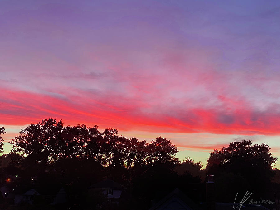 Pink Purple Sunset over the Trees Photograph by Sunshine Sky - Fine Art ...