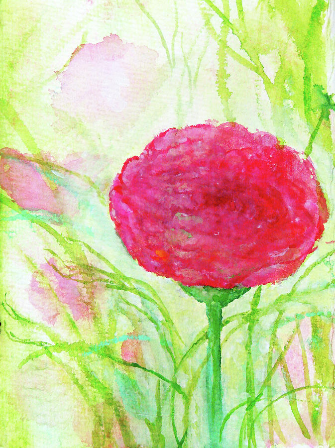 Pink Ranunculus Painting by Ashleigh Dyan Bayer