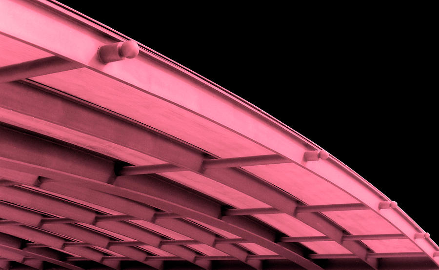 Pink Roof 2020060680rt1 Photograph by TomiRovira