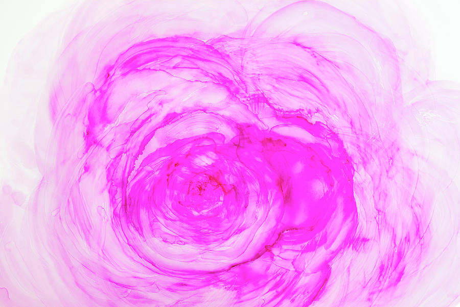 Pink Rose Abstruct Nr19 Painting
