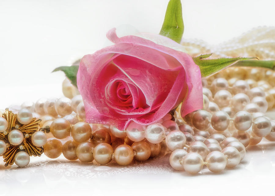 Pink rose and vitage pearls Photograph by Cordia Murphy