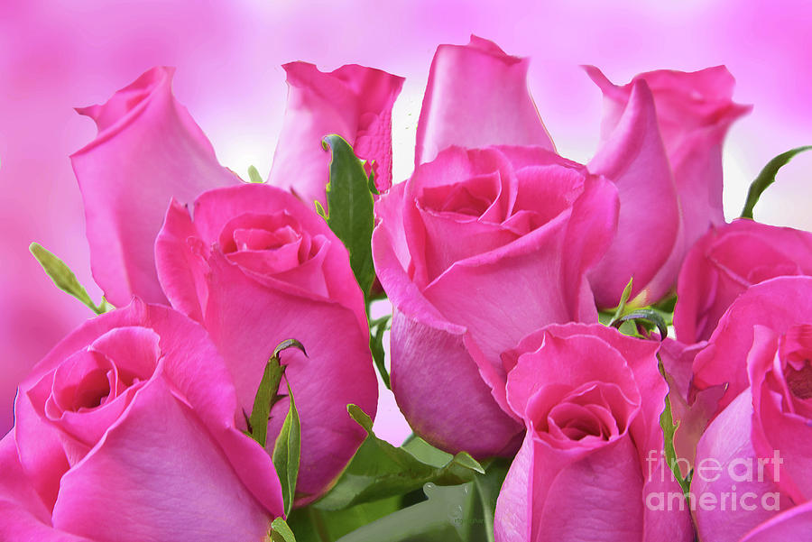 Rose Photograph - Pink Rose Bouquet by Regina Geoghan