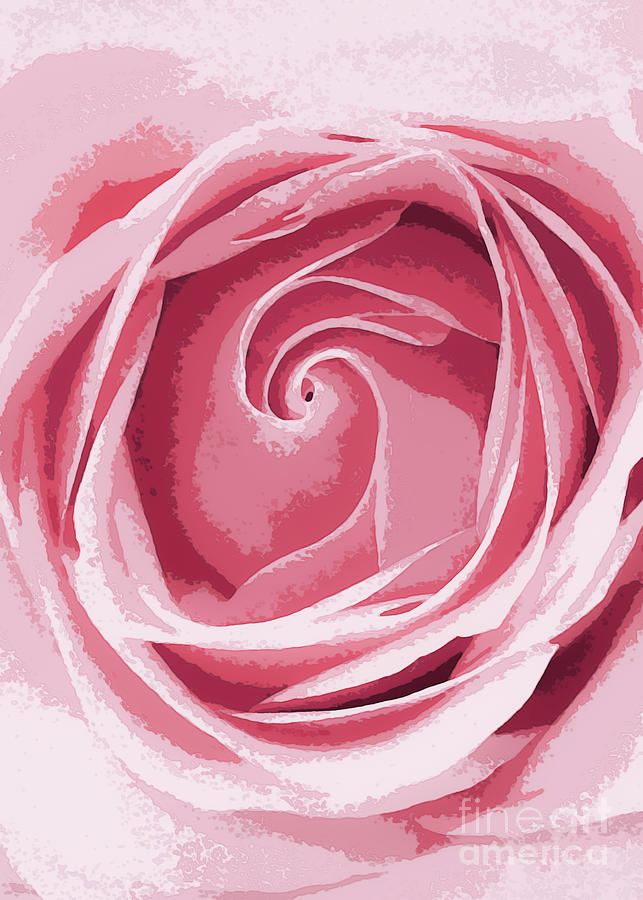 Pink Rose Flower Watercolor Pretty Floral Roses Digital Art by Amusing DesignCo
