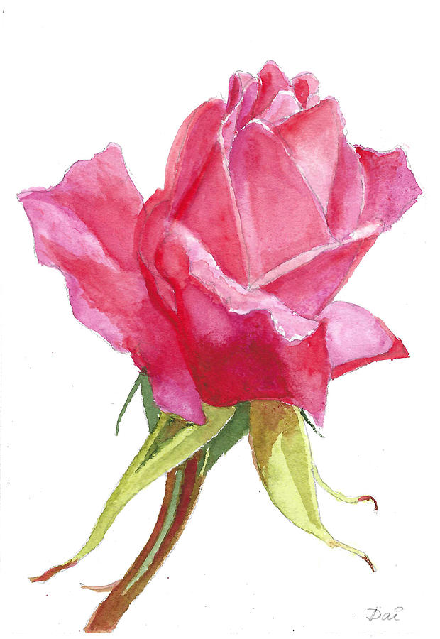 Pink Rose Greeting Card Painting by Dai Wynn
