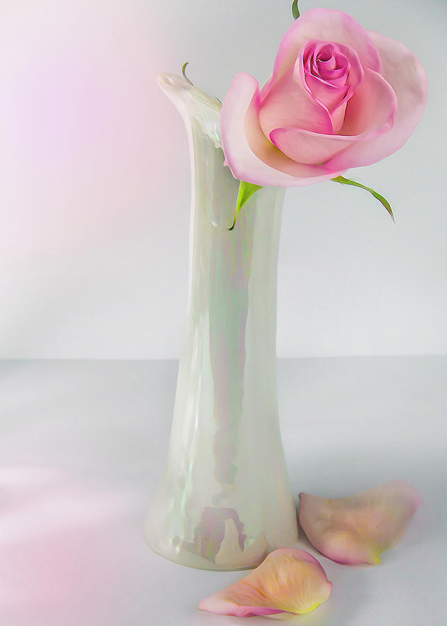 Pink Rose In A Vase Photograph by Cordia Murphy