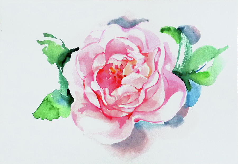 Pink rose Painting by Katya Atanasova