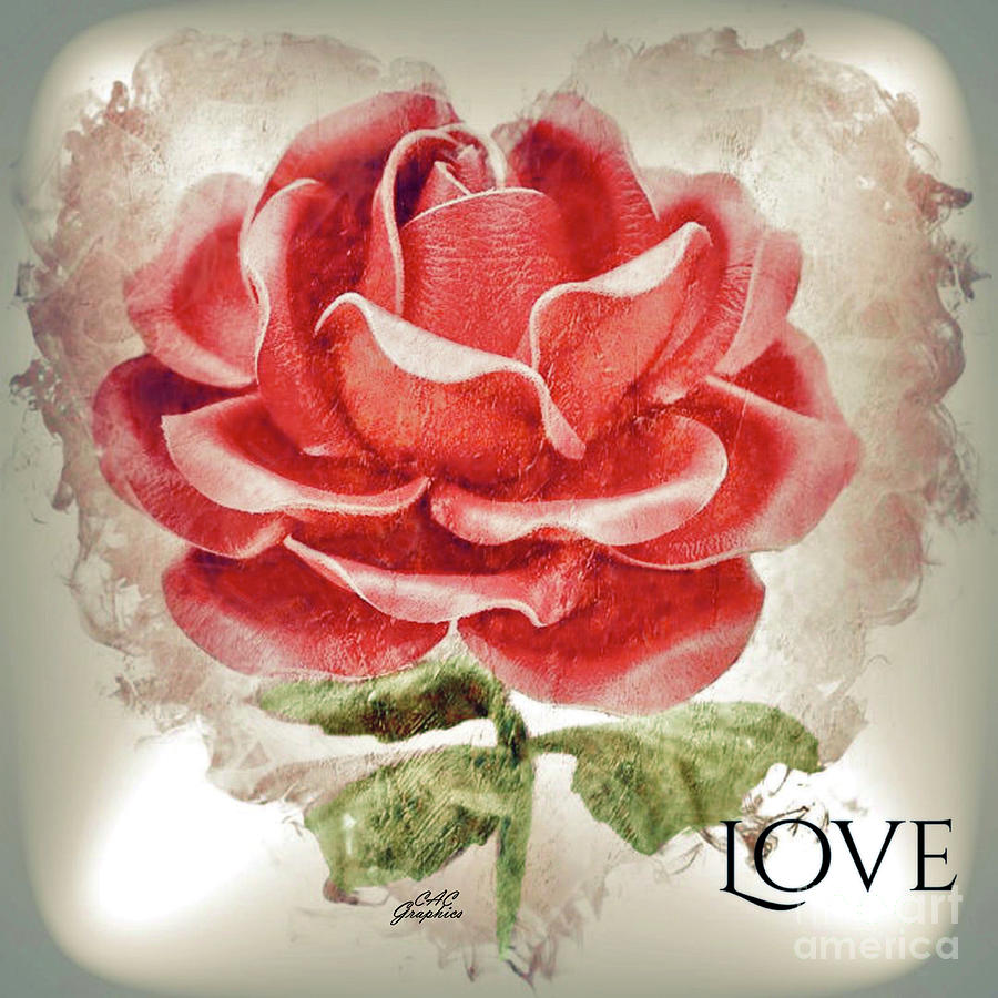 Pink Rose Love Digital Art by CAC Graphics