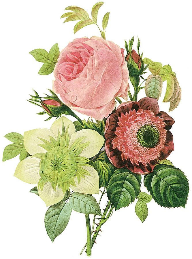 Pink Rose on Bouquet Digital Art by Long Shot