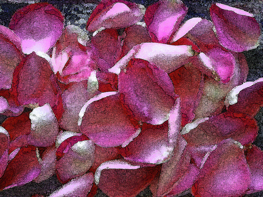 Pink Rose Petals Photograph by Corinne Carroll