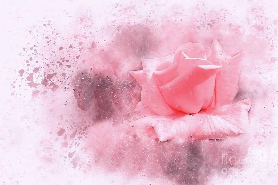 Rose Digital Art - Pink rose by Rossitsa Iordanova