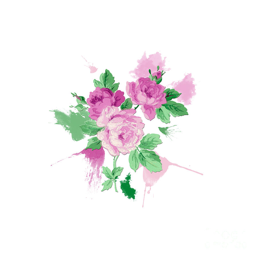 Pink Rose watercolour Digital Art by Terri Waters
