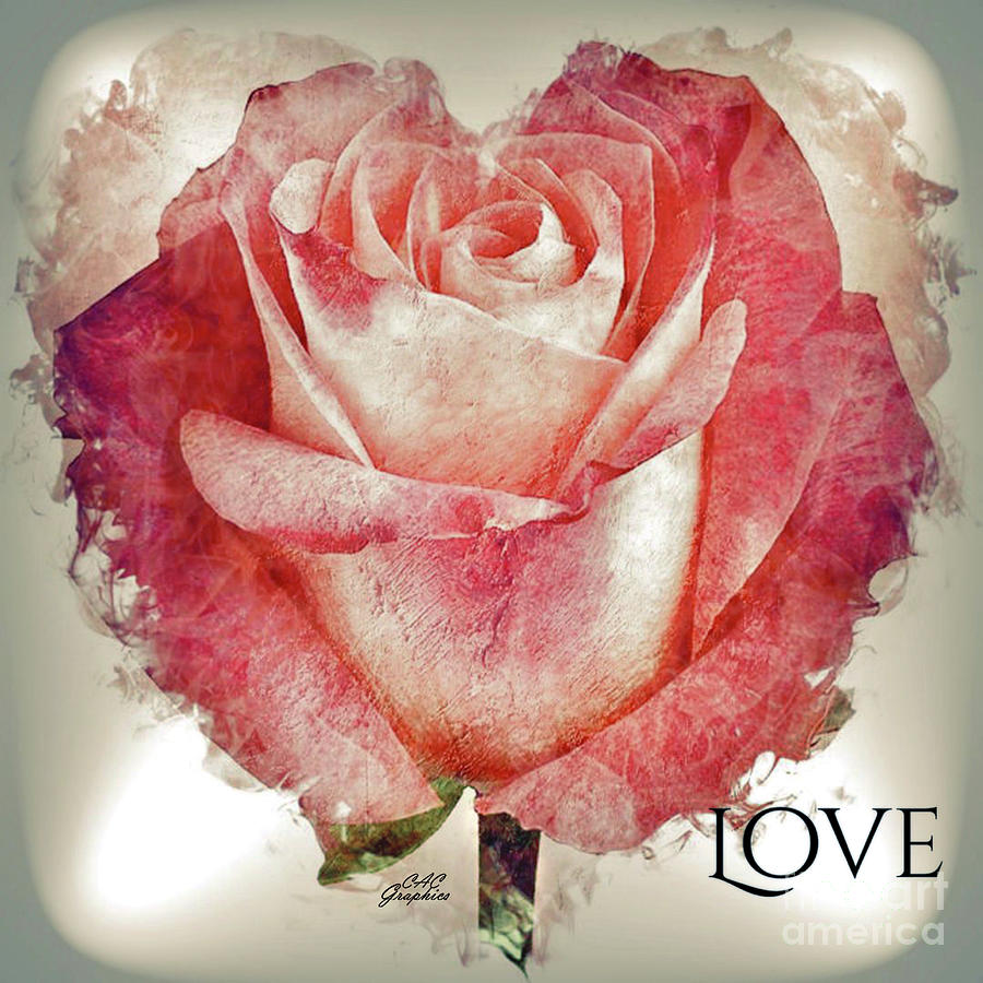 Pink Rosebud Love Digital Art by CAC Graphics