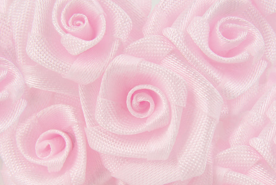 Pink Roses Flower Background Photograph by Severija Kirilovaite