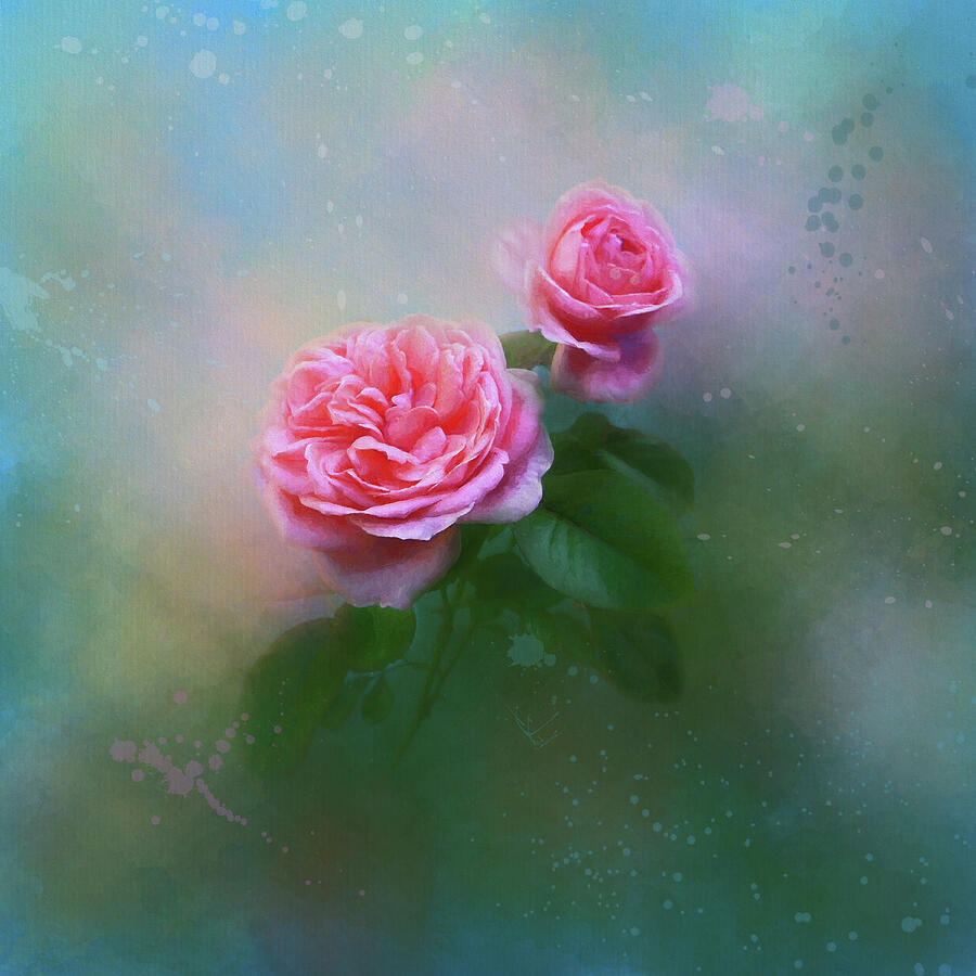 Pink Roses Digital Art by Lena Auxier