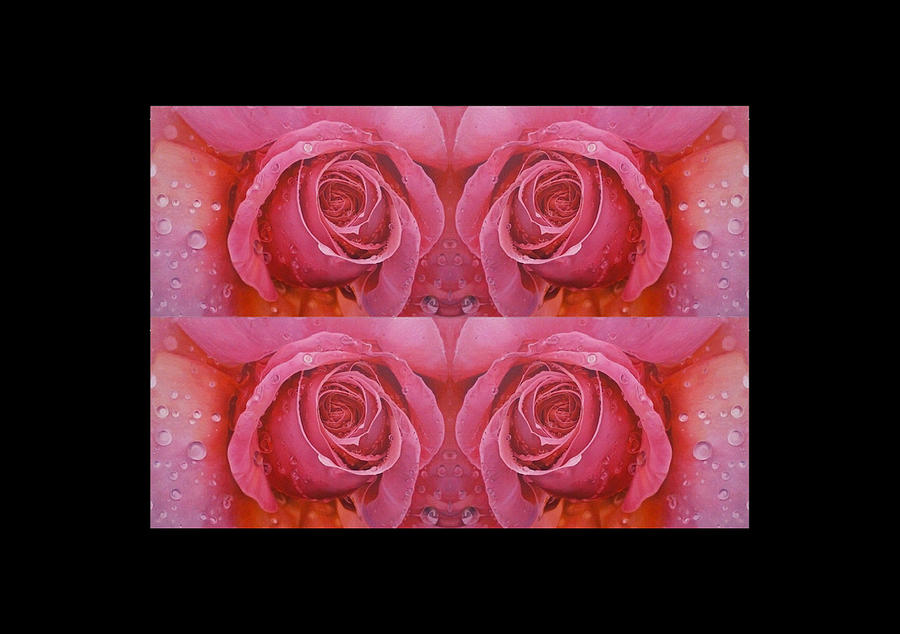 Repeated Pattern Pink Roses Of Love Digital Art