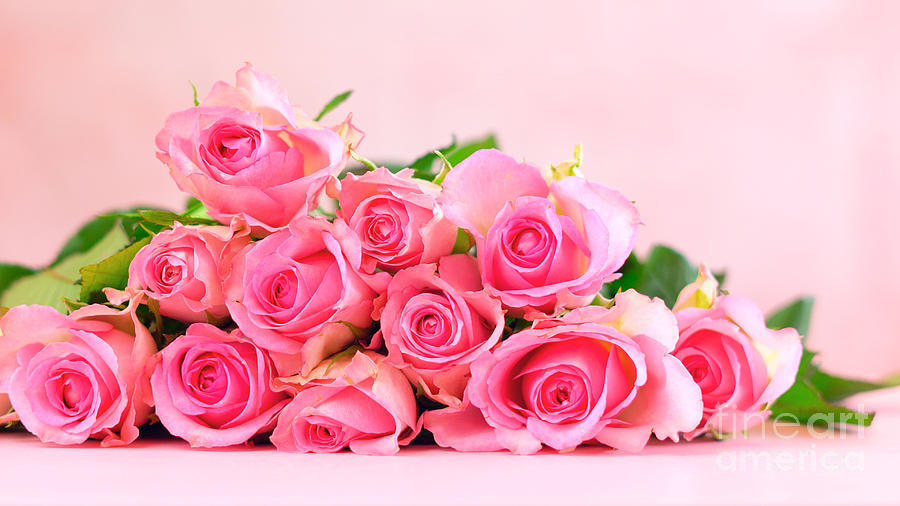 Pink roses on pink wood table, Mothers Day background with copy space. Photograph by Milleflore Images