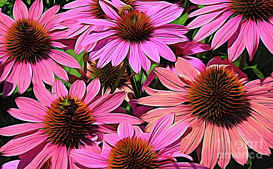 Pink Rudbeckia Coneflowers Abstract Expressionism Photograph