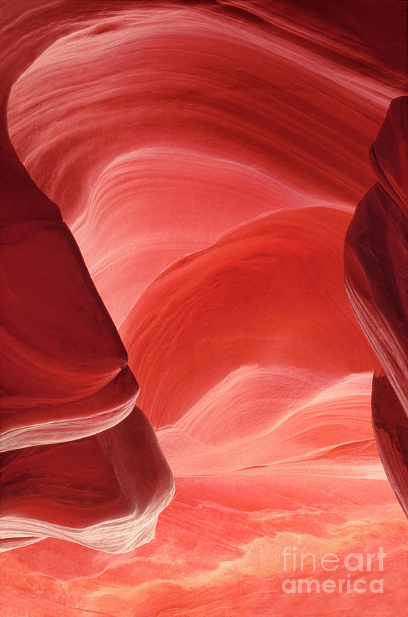 Pink Sandstone Detail Lower Antelope Slot Canyon Arizona Photograph by Dave Welling