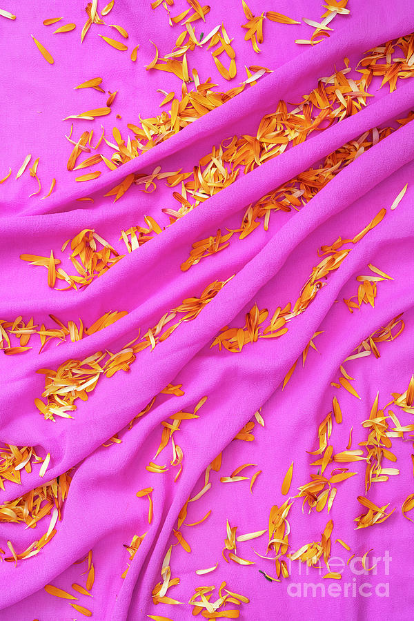 Pink Shawl and Flower Petals Photograph by Tim Gainey