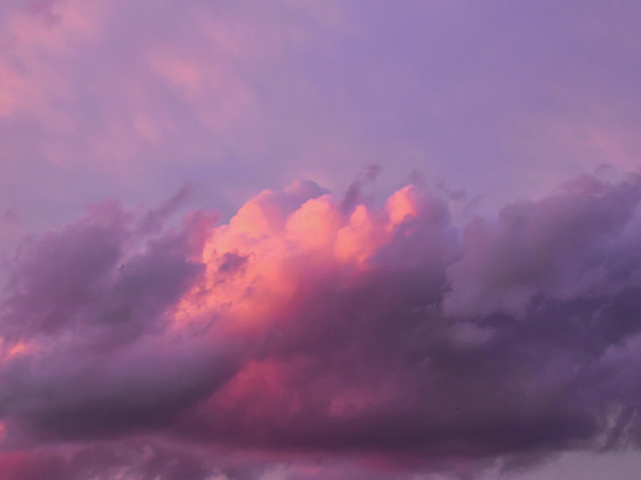 Pink Skies Photograph by Isabella Horvath