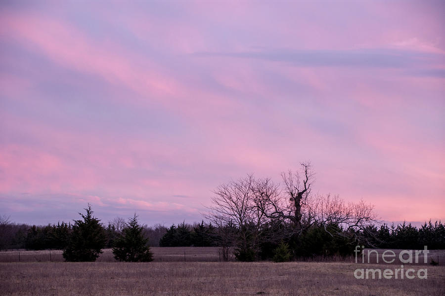 Pink Sky Photograph by Cheryl McClure