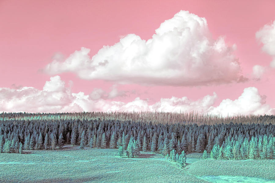 Pink Sky Teal Landscape Photograph by Jennie Marie Schell