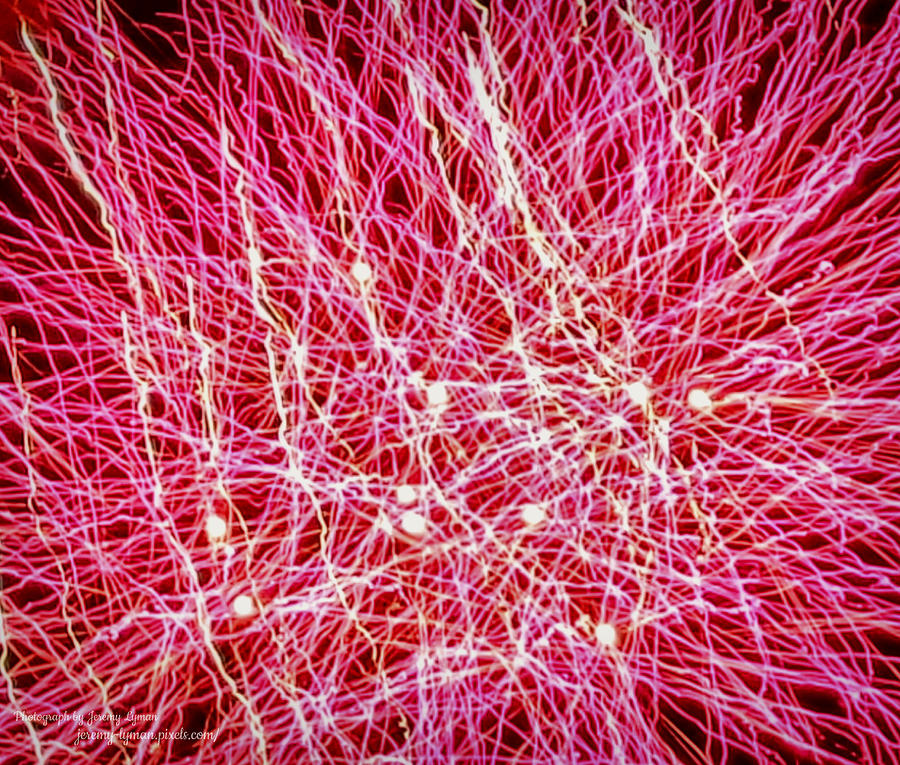 Pink Sparklers Photograph