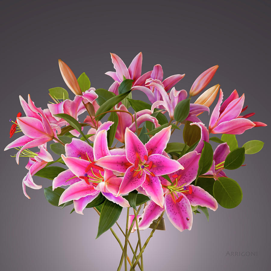 Pink Stargazer Lilies Painting by David Arrigoni