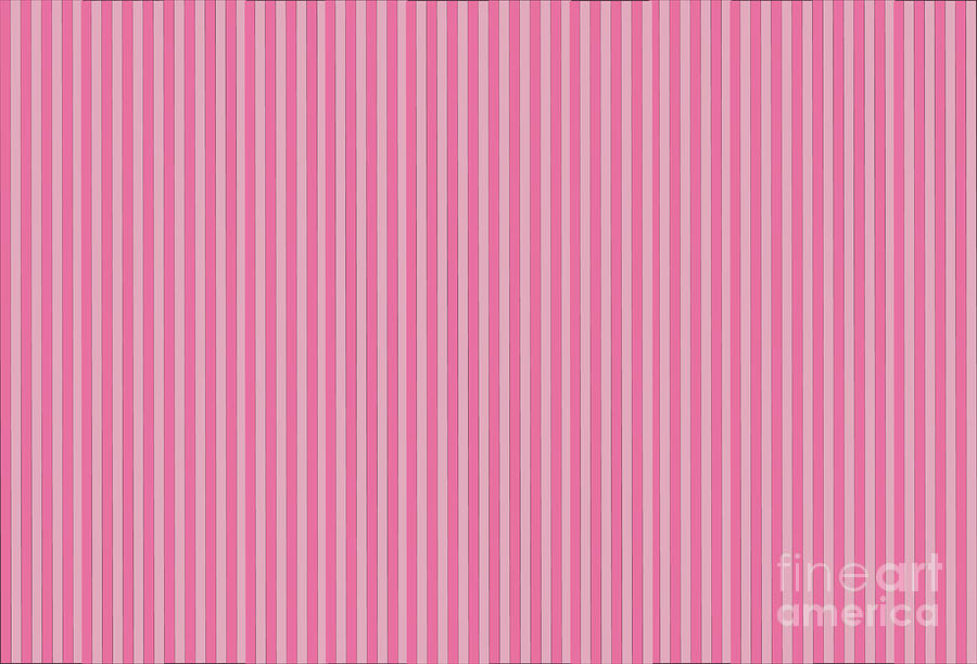 Pink stripes Photograph by Amanda Mohler