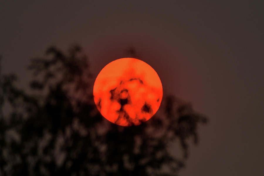 Pink Sun due to unhealthy air in San Francisco South Bay Photograph by Amazing Action Photo Video