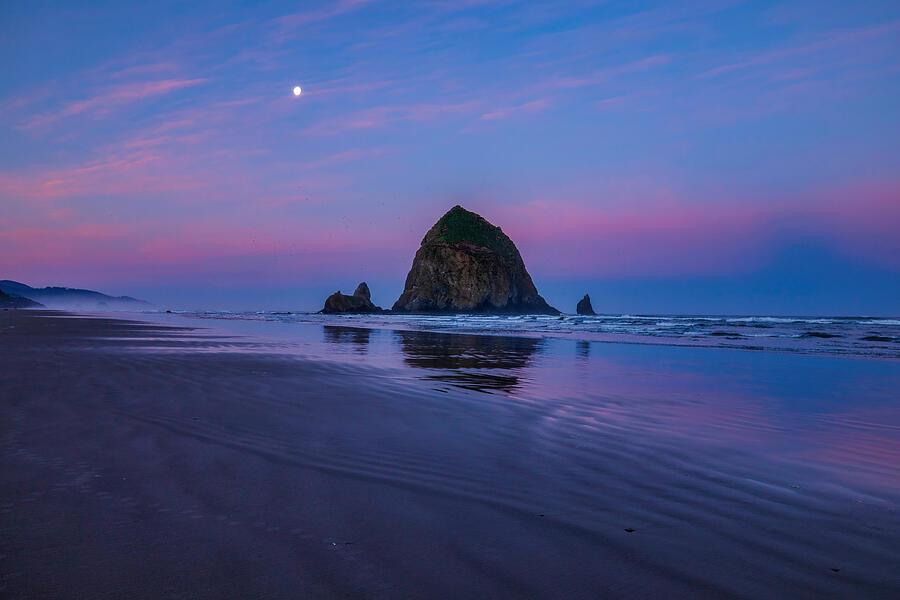 Pink Sunrise at Cannon Beach 2 Photograph by Lynn Hopwood