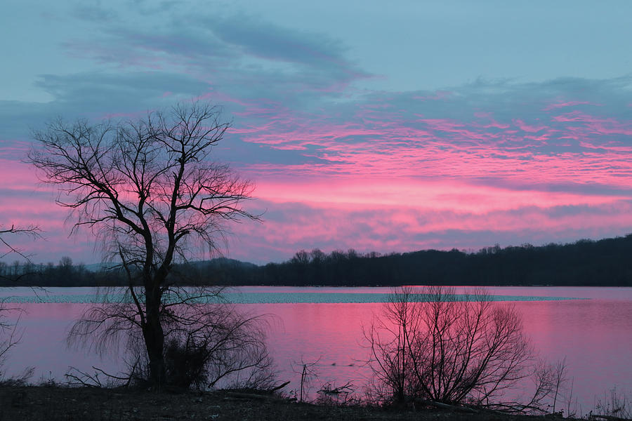 Pink Sunrise at Middle Creek Photograph by Lori Deiter