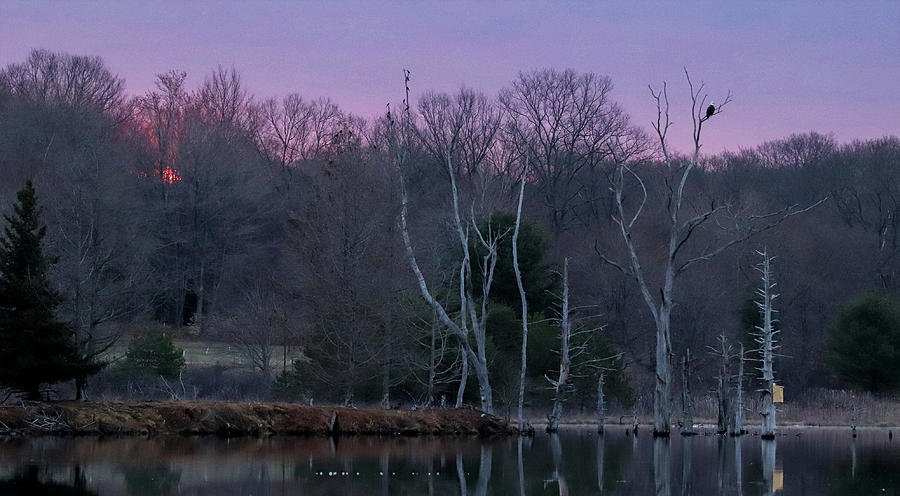 Pink Sunrise over Shaggers Photograph by David Kipp