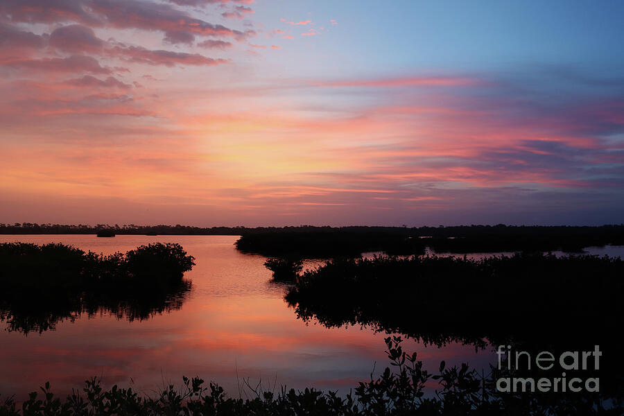 Sunrise Photograph - Pink Sunrise Over The Mangroves by Brenda Harle