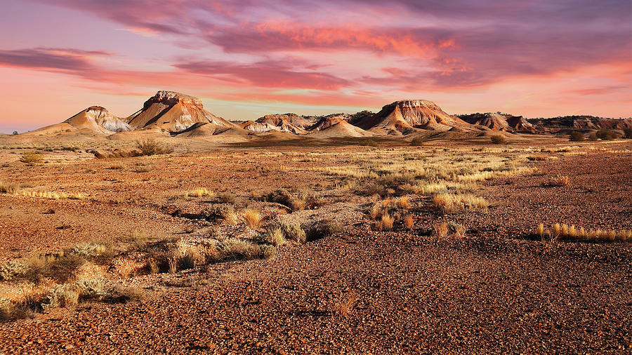 Pink Sunrise - Painted Desert Photograph by Lexa Harpell