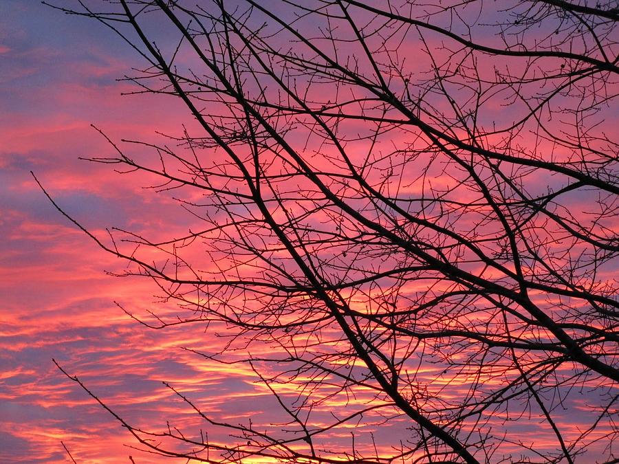 pink-sunset-photograph-by-artistofcloud-fine-art-america