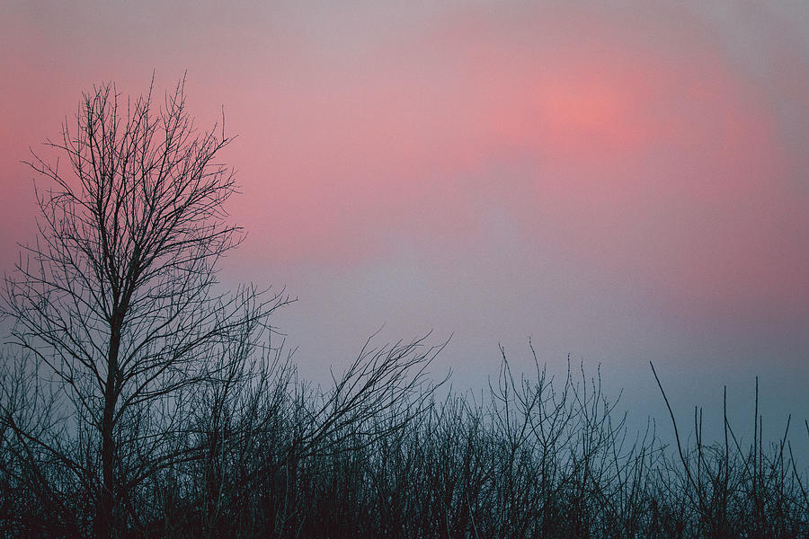 Pink Sunset Photograph by Joni Eskridge