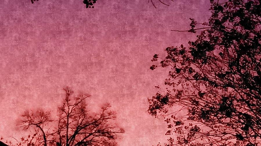 Pink Sunset Photograph by Kathy Barney