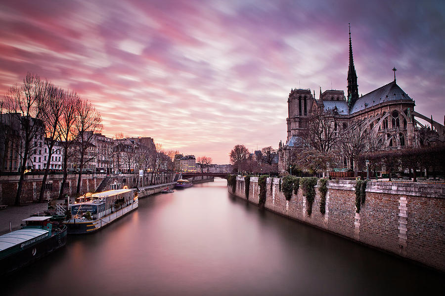 Notre Dame Photograph - Pink Sunset of Notre Dame by Serge Ramelli