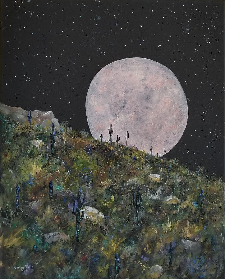 Pink Supermoon Painting by Judith Rhue