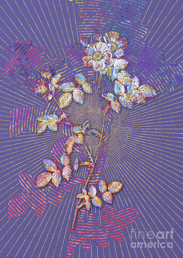 Pink Sweetbriar Roses Mosaic Botanical Art on Veri Peri n.0312 Mixed Media by Holy Rock Design