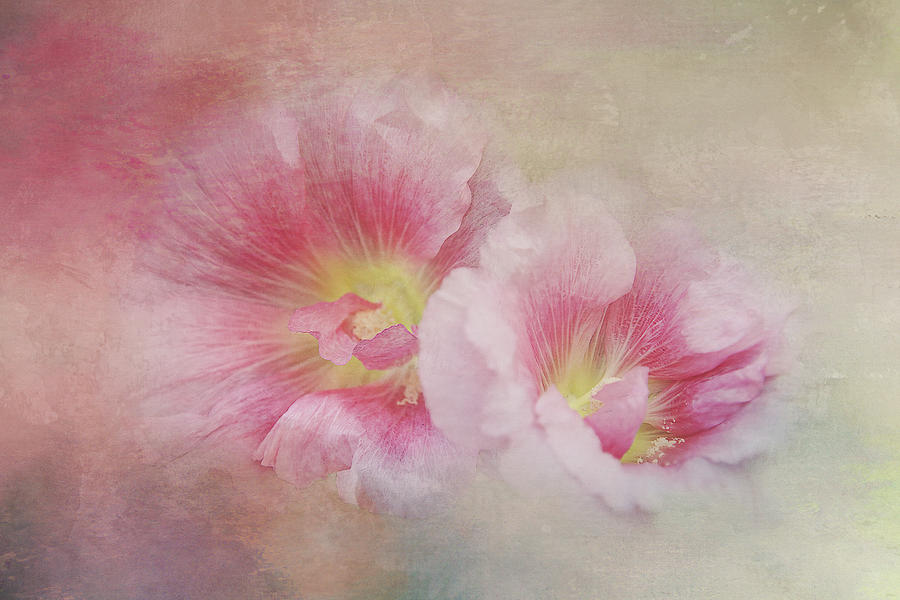 Pink Textured Flowers Digital Art by Terry Davis