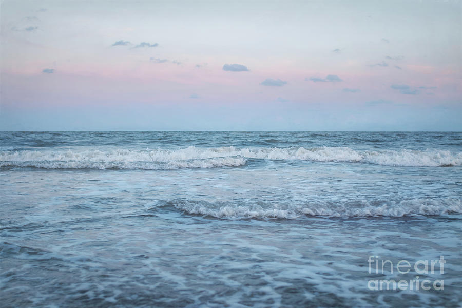 Pink tones at Hilton Head Photograph by Amy Dundon