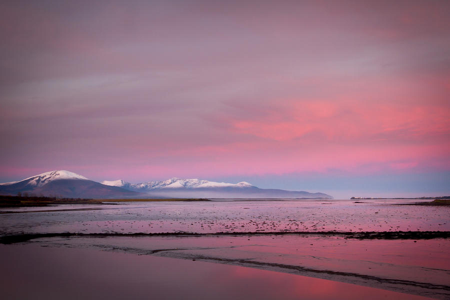 Pink Tralee Bay Photograph by Mark Callanan